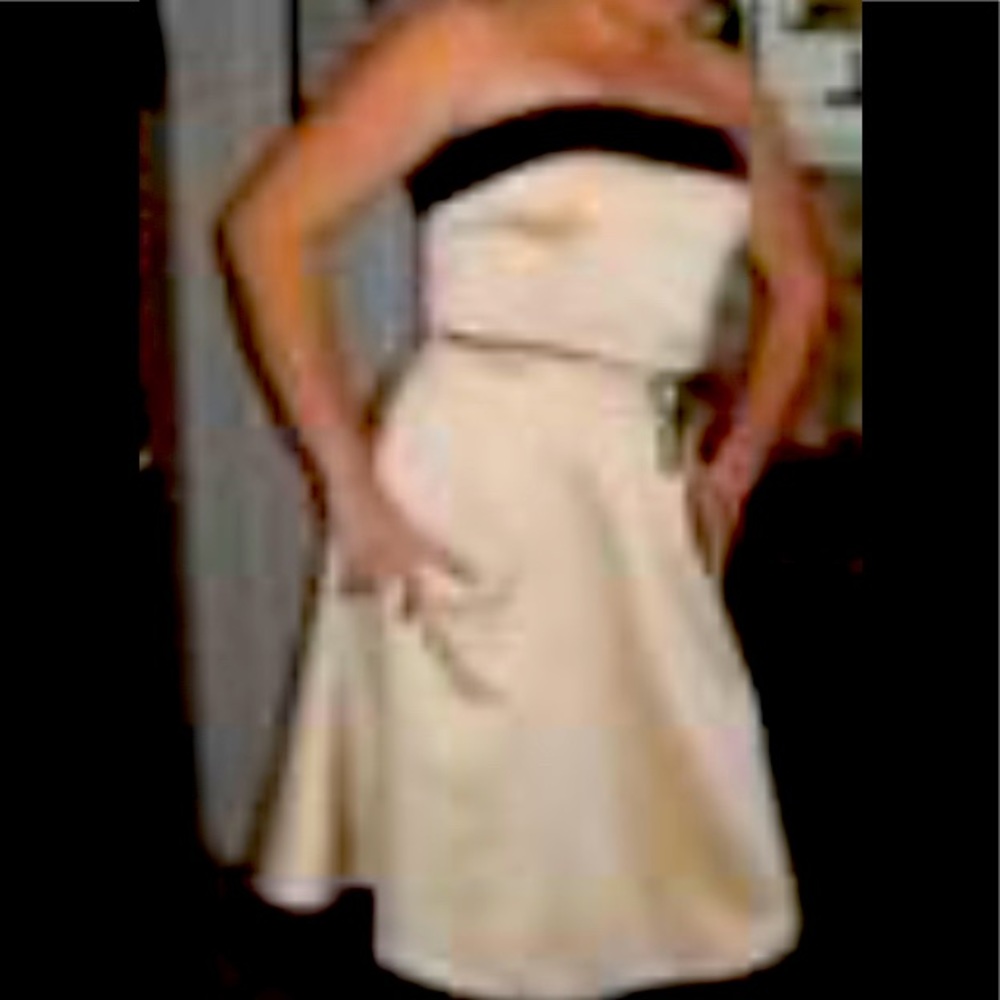 WHBM Gold and black strapless cocktail dress